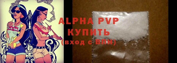 прущий лед Богданович