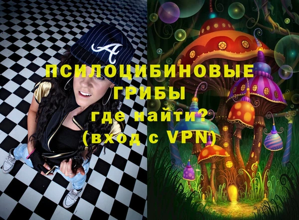 таблы Богородск