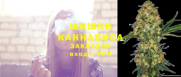 стафф Бородино