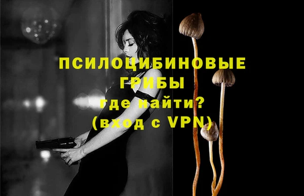 стафф Бородино