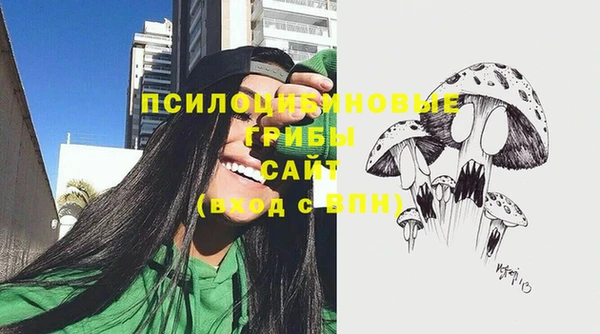 стафф Бородино