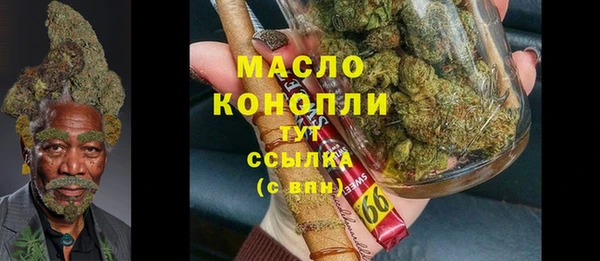 стафф Бородино