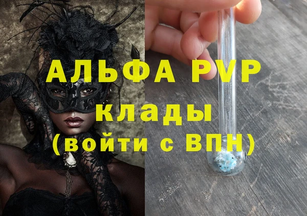 стафф Бородино