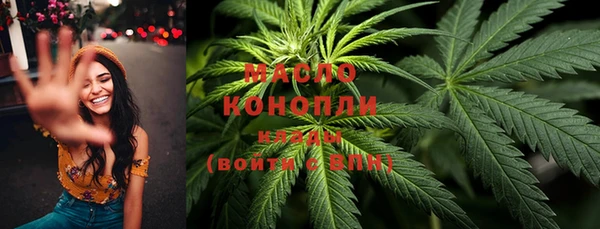 прущий лед Богданович