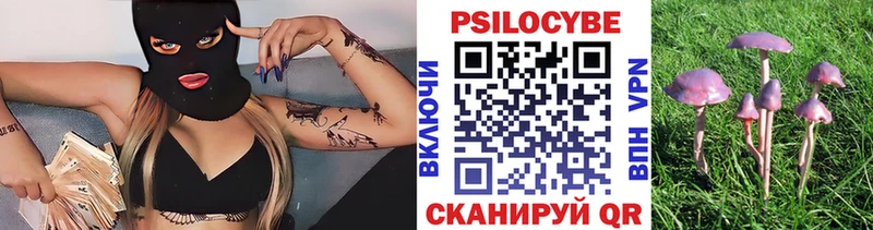 цены наркотик  Дагестанские Огни  Псилоцибиновые грибы Psilocybine cubensis 