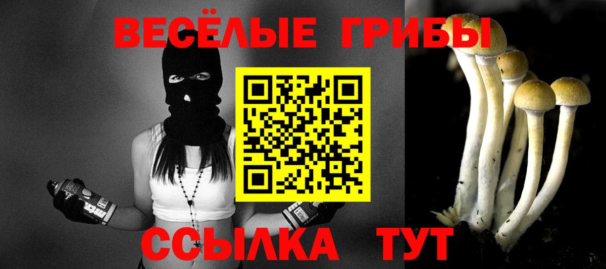 Галлюциногенные грибы мицелий Дагестанские Огни