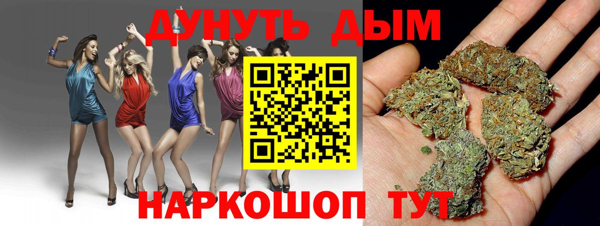 МАРИХУАНА план Дагестанские Огни